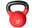 PRO Kettlebell 12 kg