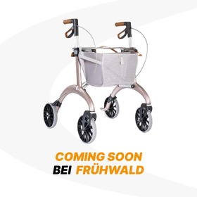 Rollmobil Carbon superleicht rosé