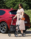 Rollmobil XL anthrazit  bis 200 kg