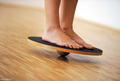 SISSEL® Balance Board Dynamic