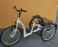 Therapiefahrrad - Vorführmodell