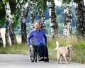 WheelDrive 24 Zoll