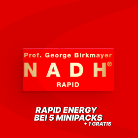 Prof. Birkmayer NADH RAPID ENERGY