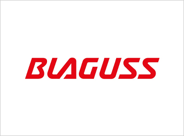 Reisen mit Blaguss