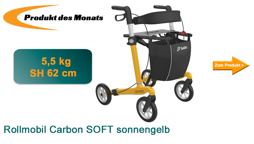 Tipp des Monats
