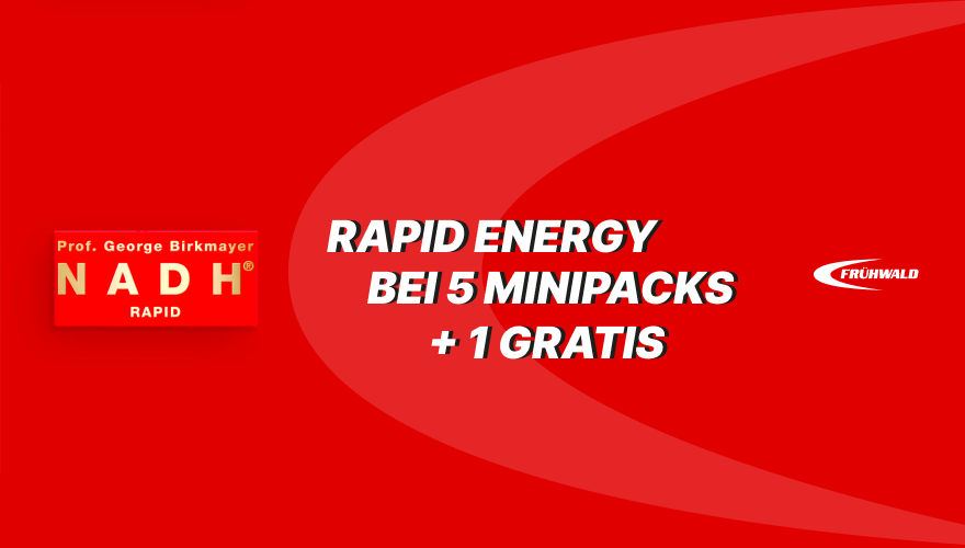 Prof. Birkmayer NADH RAPID ENERGY